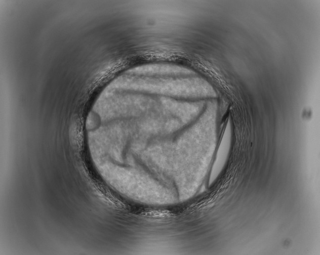 X0000098090642200805021046