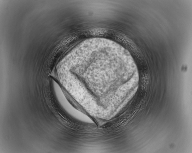 X0000098090644200805021046