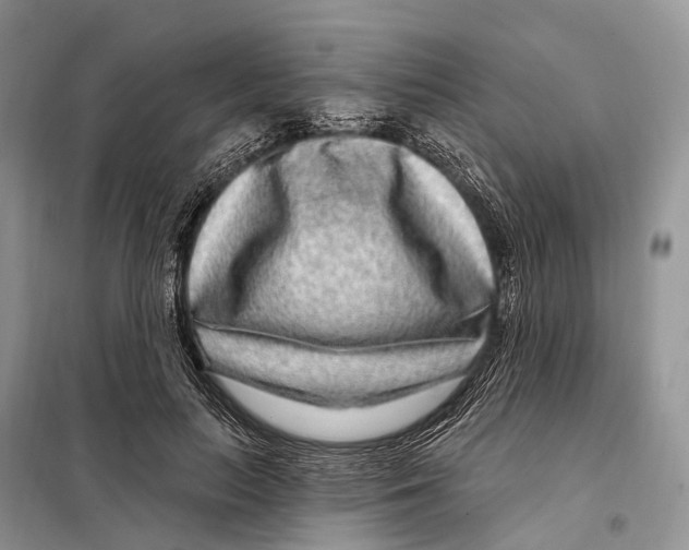 X0000098090647200805021046