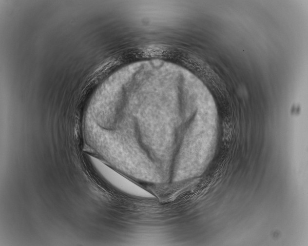 X0000098090648200805021046