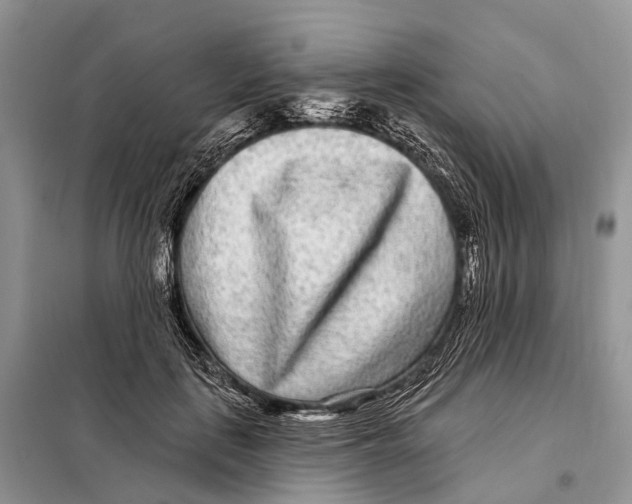 X0000098090651200805021047