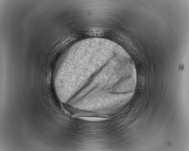 X0000098090652200805021047