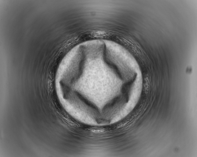 X0000098090653200805021047