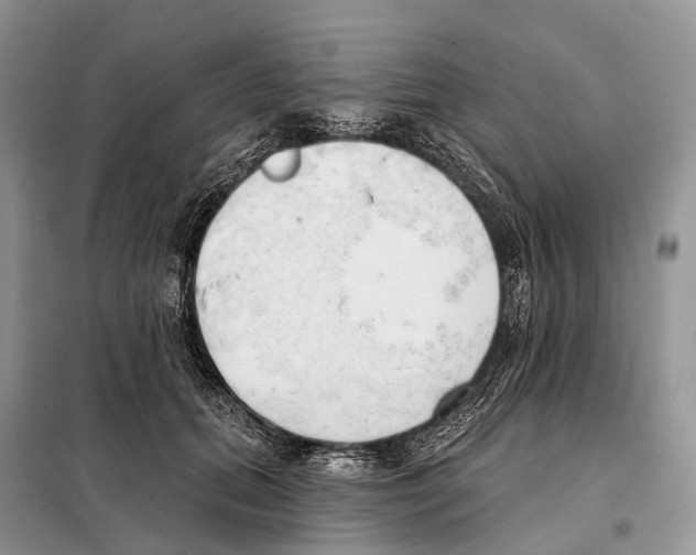 X0000098090655200805021047