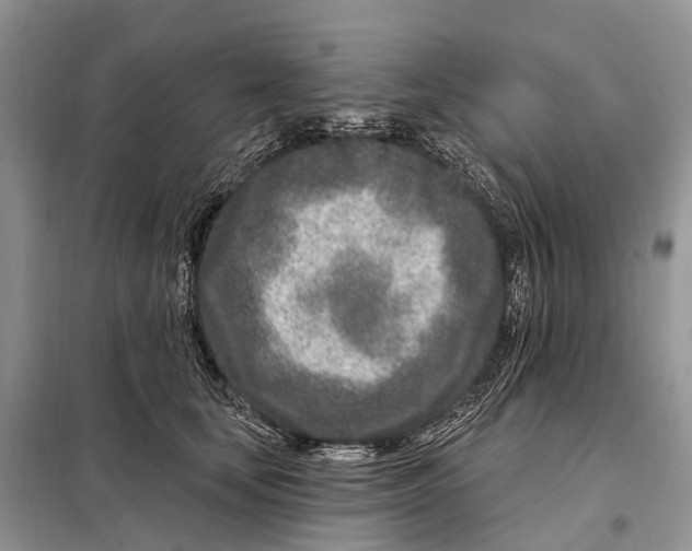 X0000098090659200805021047