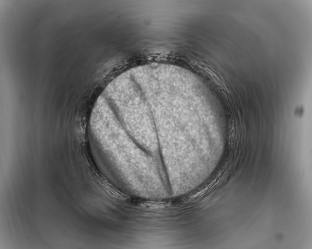 X0000098090661200805021047