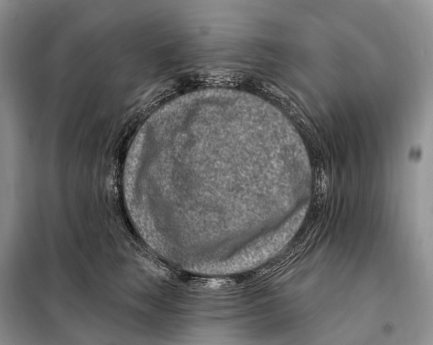 X0000098090663200805021047