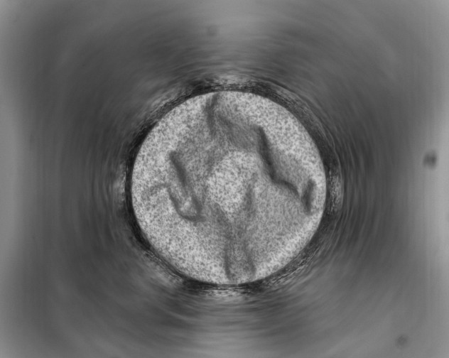 X0000098090668200805021047