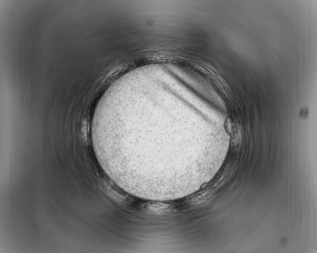 X0000098090669200805021047