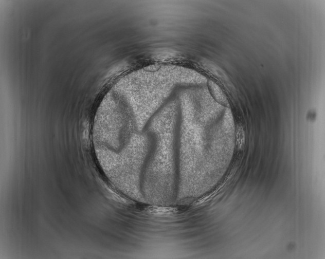 X0000098090670200805021047