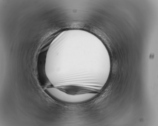 X0000098090673200805021046