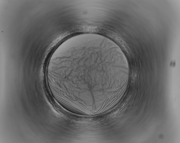 X0000098090674200805021046