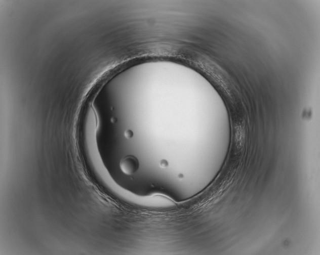 X0000098090676200805021046