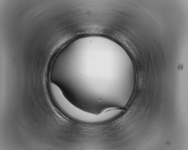 X0000098090677200805021046