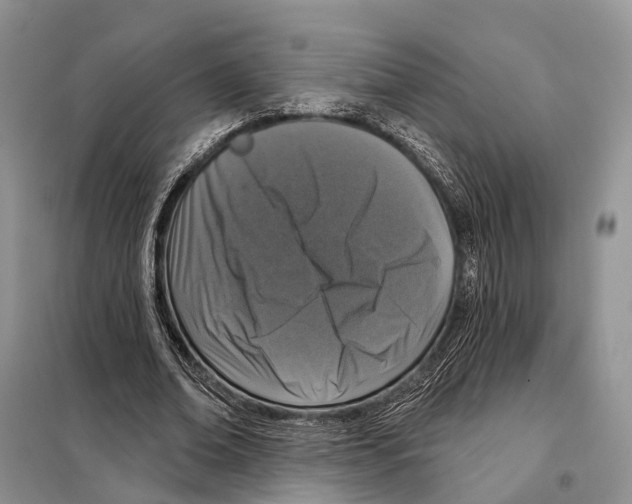 X0000098090678200805021046