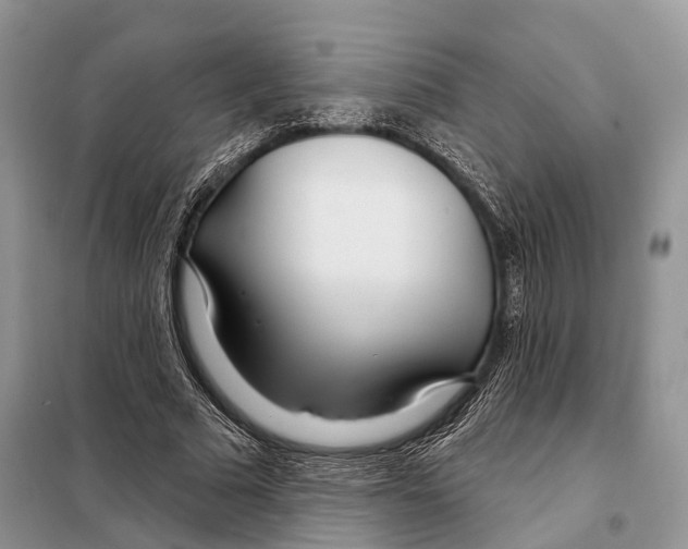 X0000098090681200805021046