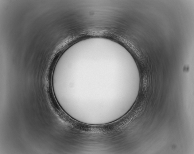 X0000098090682200805021046