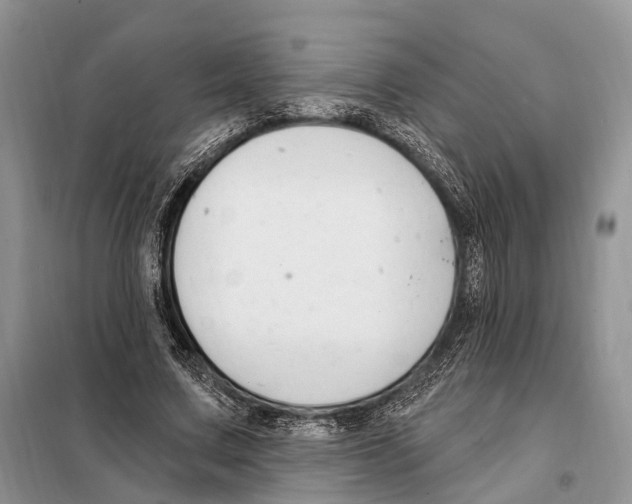 X0000098090683200805021046