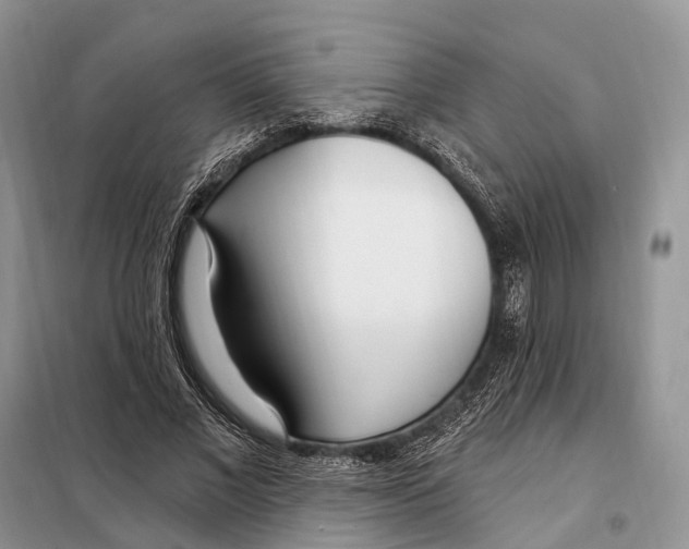 X0000098090685200805021046