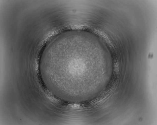 X0000098090687200805021046