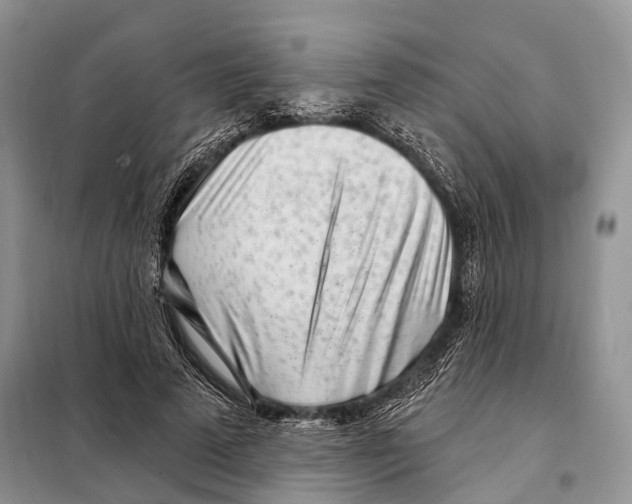 X0000098090689200805021046