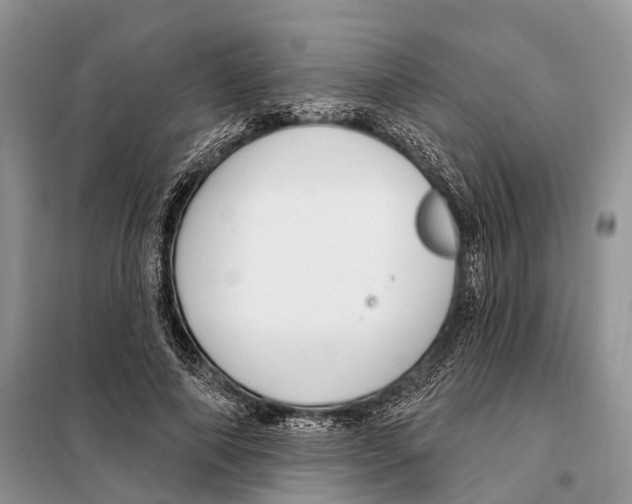 X0000098090690200805021046