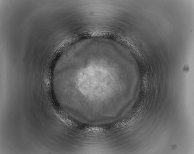 X0000098090691200805021046