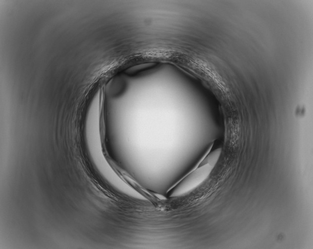 X0000098090692200805021046