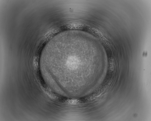 X0000098090695200805021046