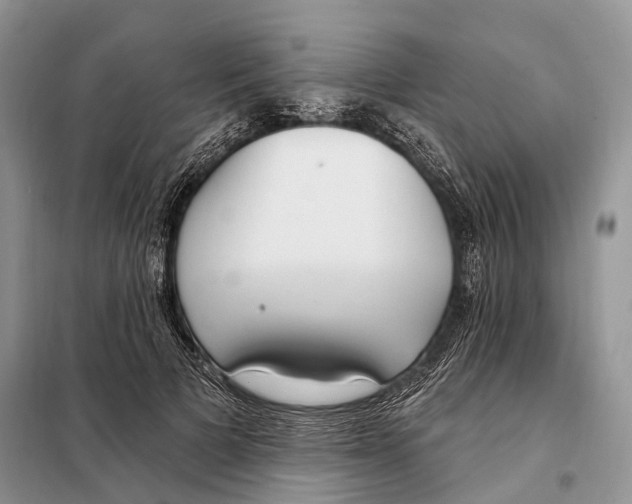 X0000098090697200805021046