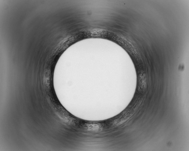 X0000098090698200805021046