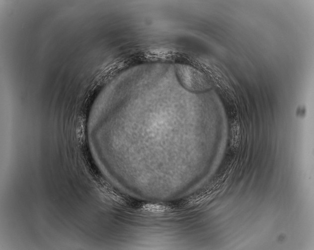 X0000098090699200805021046