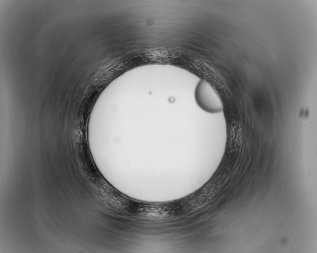 X0000098090702200805021046