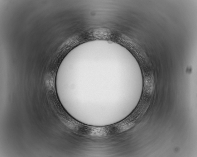 X0000098090705200805021046