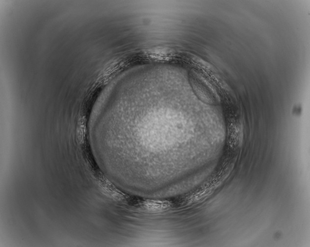 X0000098090707200805021046