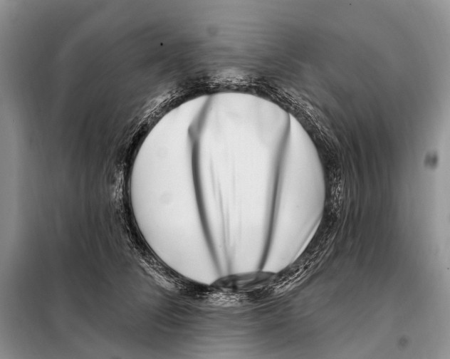 X0000098090708200805021046