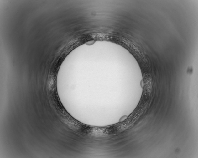 X0000098090709200805021046