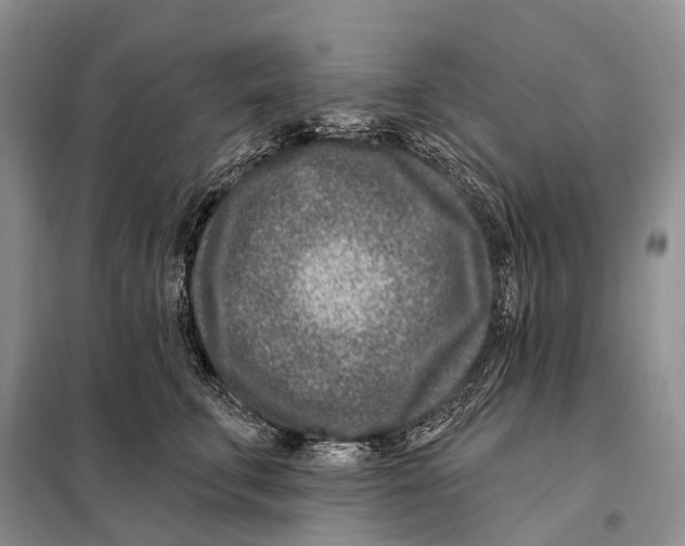 X0000098090711200805021046