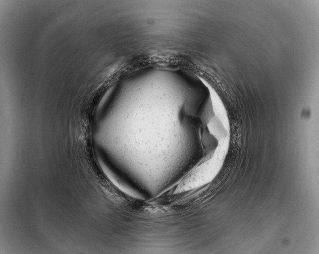 X0000098090712200805021046