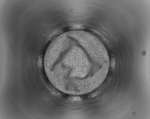 X0000098090715200805021046