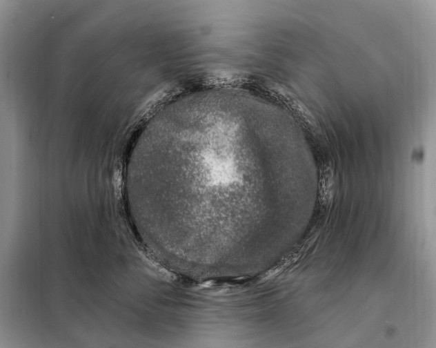 X0000098090716200805021046