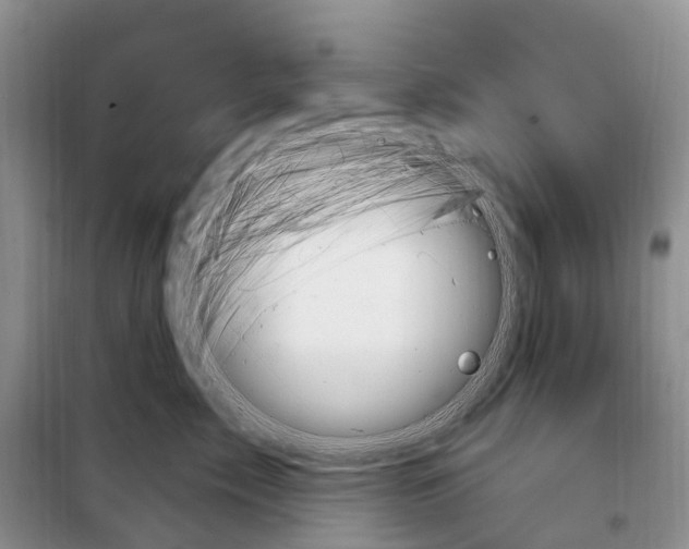 X0000098090717200805021046