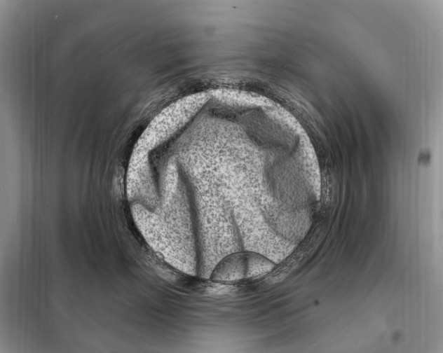 X0000098090718200805021046