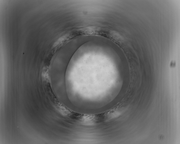 X0000098090720200805021046