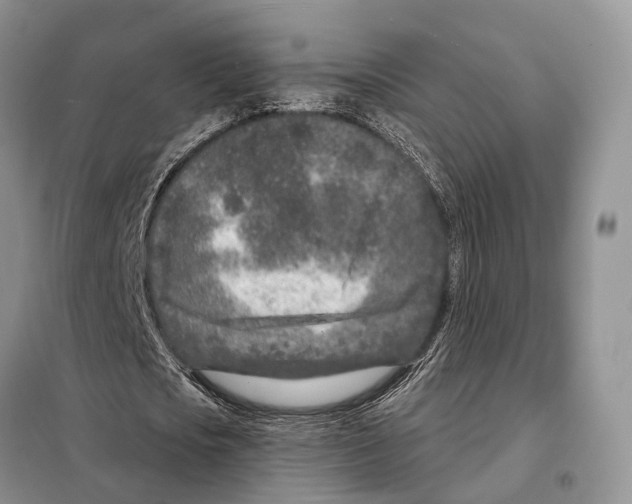 X0000098090721200805021045