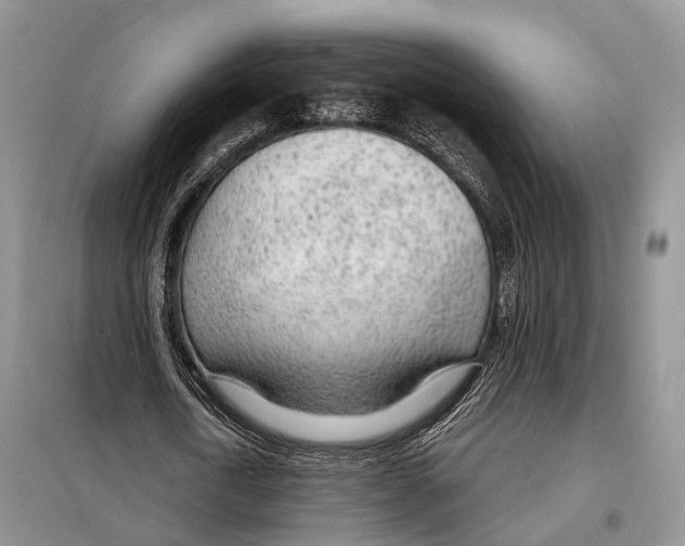 X0000098090722200805021045