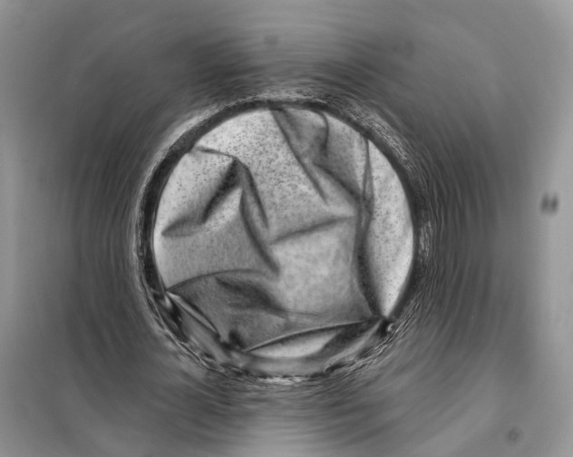 X0000098090724200805021045