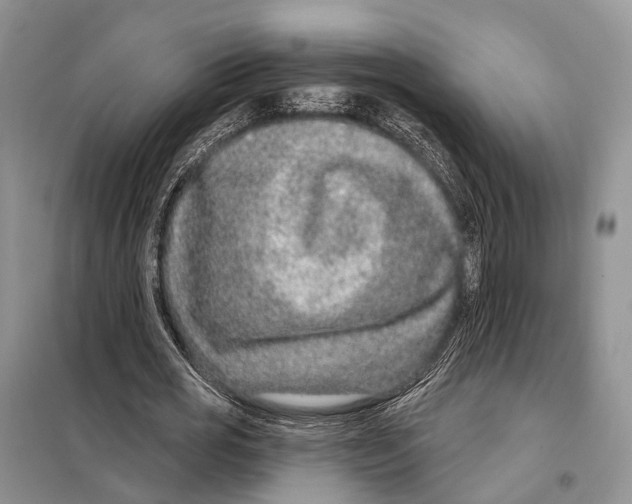 X0000098090725200805021045