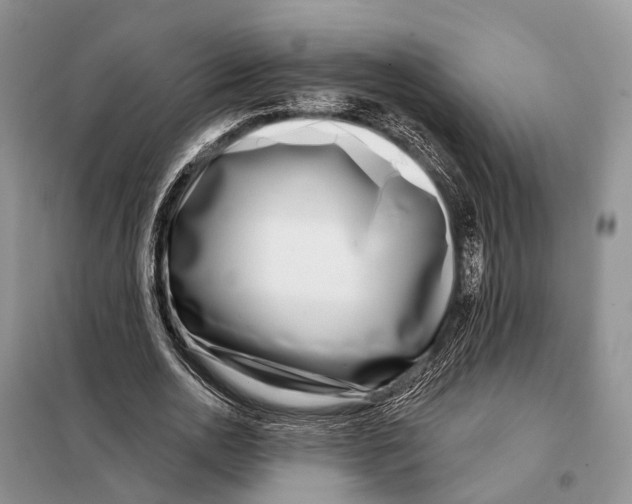 X0000098090726200805021045