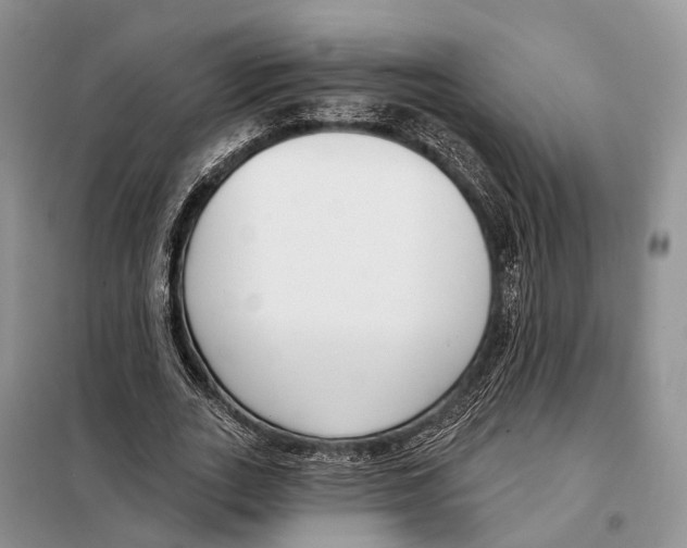 X0000098090727200805021045